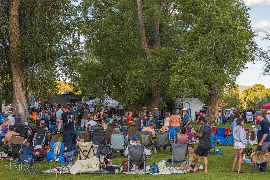 A large crowd of neighbors relaxing in camp chairs and blankets beneath towering cottonwoods on the ranch lawn