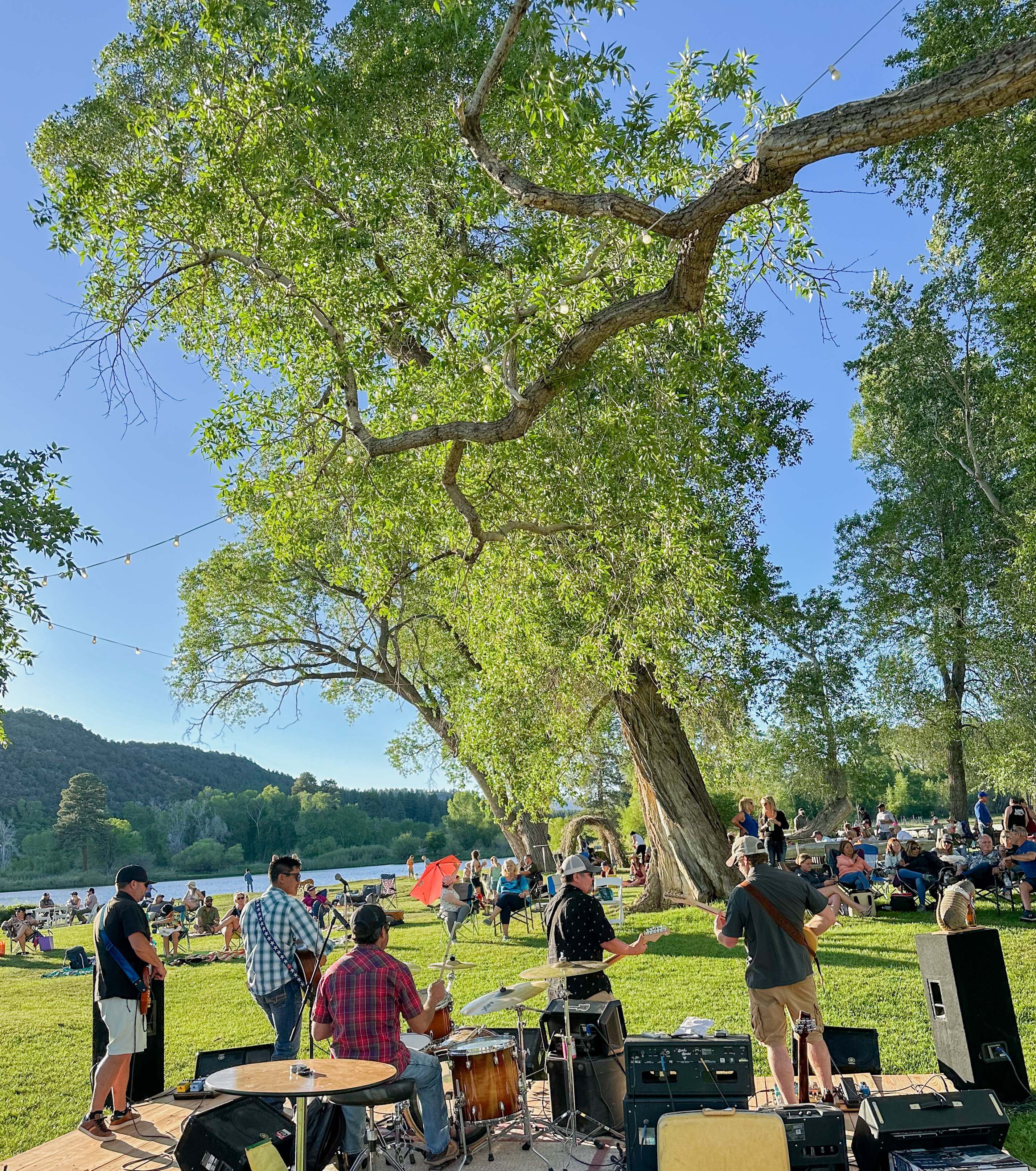 Live band performing under the cottonwood tree with crowd on the lawn at Local's Night